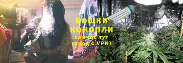 трава Армянск