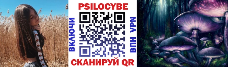 что такое   Ступино  Галлюциногенные грибы Psilocybine cubensis 