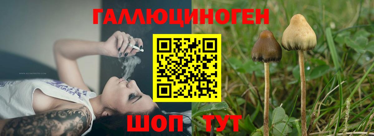 Галлюциногенные грибы прущие грибы  Галлюциногенные грибы мицелий  Вход с VPN  Ступино 